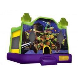 Indoor Jumping Castle Indoor Jumping Castle