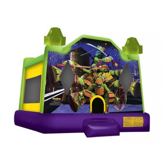 Indoor Jumping Castle