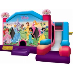 Disney Princess Combo Slide Disney Princess Combo Slide