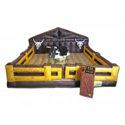 Deluxe Mechanical Bull
