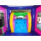 Commercial Grade Jumping Castle