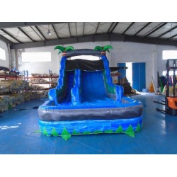 Water Slide Jumping Castle