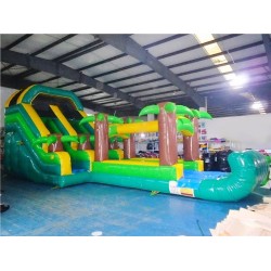 Tropical Water Slide