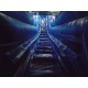 Water Slides Water Slides