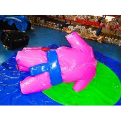 Sumo Wrestling Suits With Mat Sumo Wrestling Suits With Mat